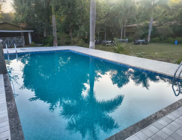 swimming pool (2)